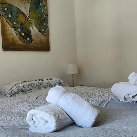 Apartment Quiet Pine Walk 20m From The