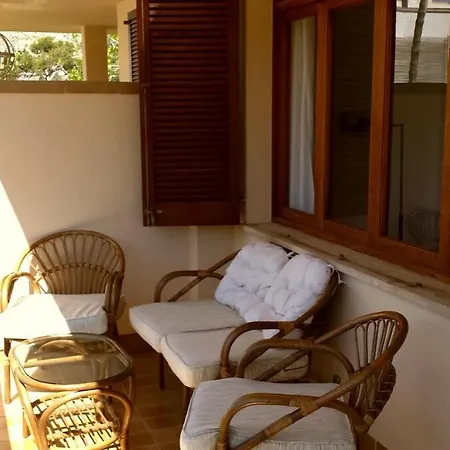 Apartment Quiet Pine Walk 20m From The Pollenca